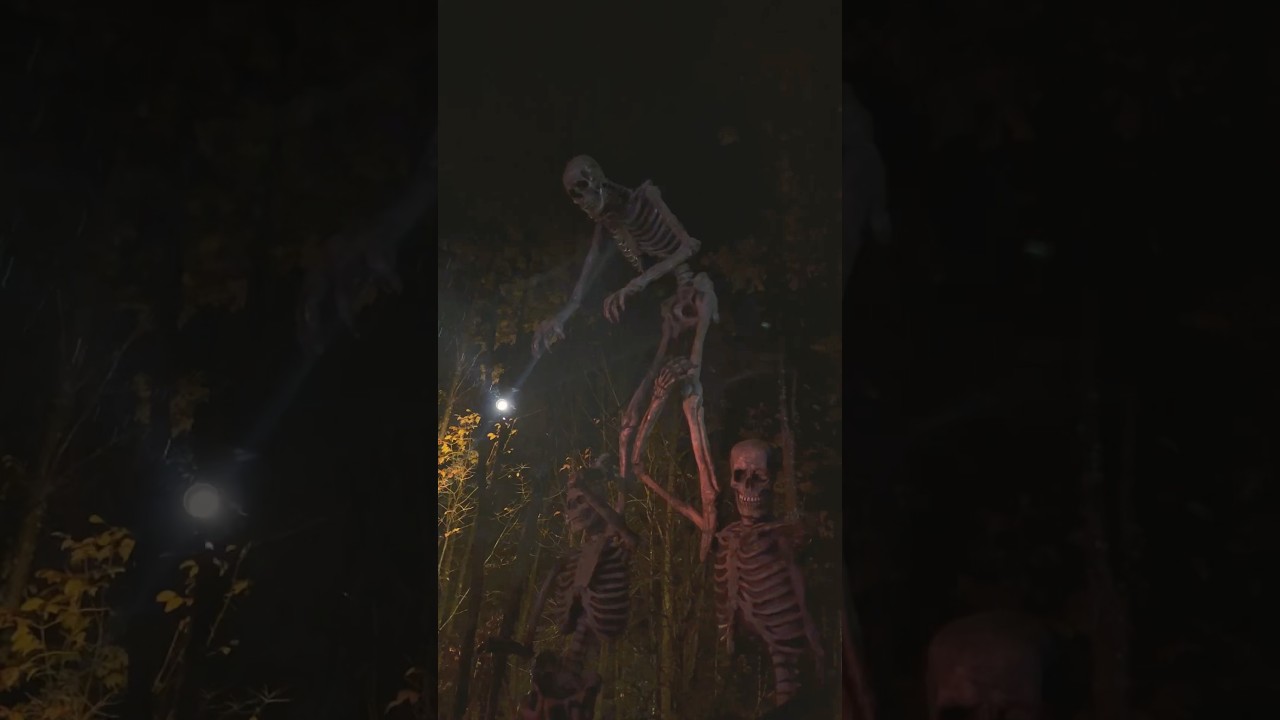 💀 What’s cooler than a 12-foot skeleton?  #shorts #shortsfeed #halloween