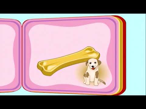 my-pop-up-book-ep-28