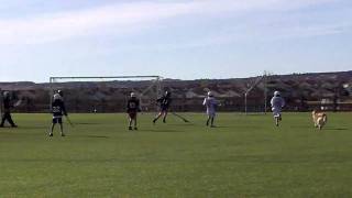 Crazy dog runs on a lacrosse field screenshot 3