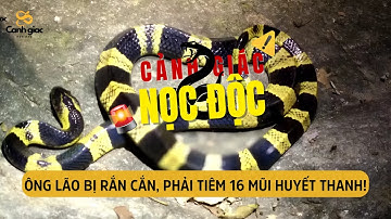 Ông lão bị rắn cắn, phải tiêm 16 mũi huyết thanh! #yhoc #suckhoe #rắn #snake #kienthuc