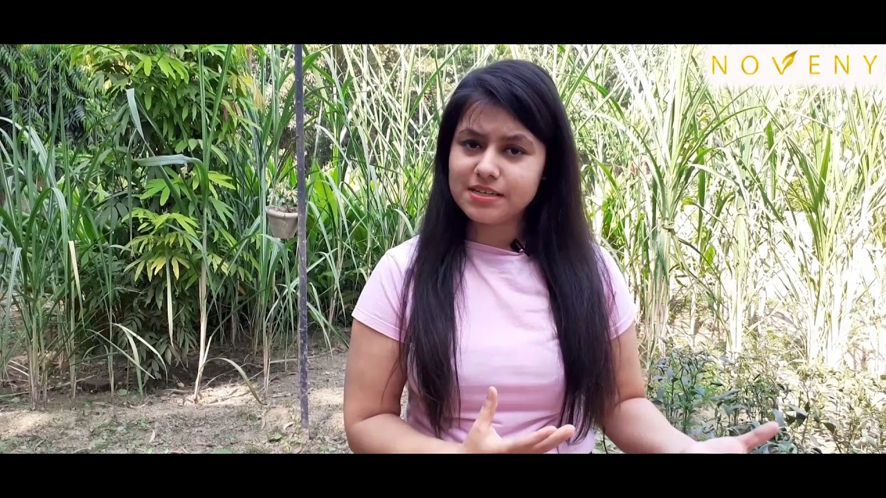 Precautions you should take Before using Essential Oils & Carrier Oil