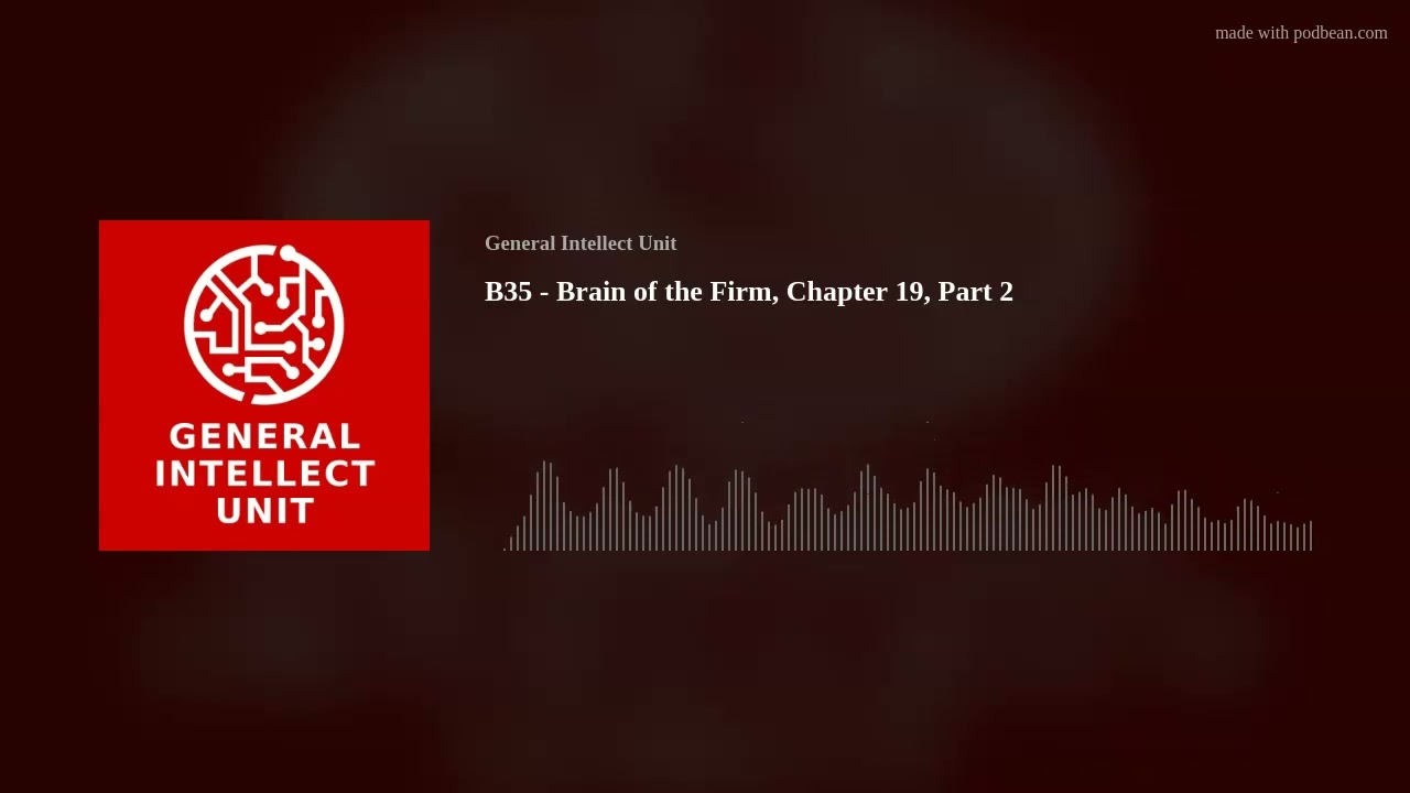 B35 - Brain of the Firm, Chapter 19, Part 2