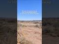 10 acres in Texas for $329/mo. #texas #land #landcentury #fyp #shorts #realestate #property #sale