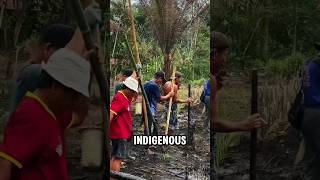 Ancient Agricultural Methods On The Hillsides Of Indonesia