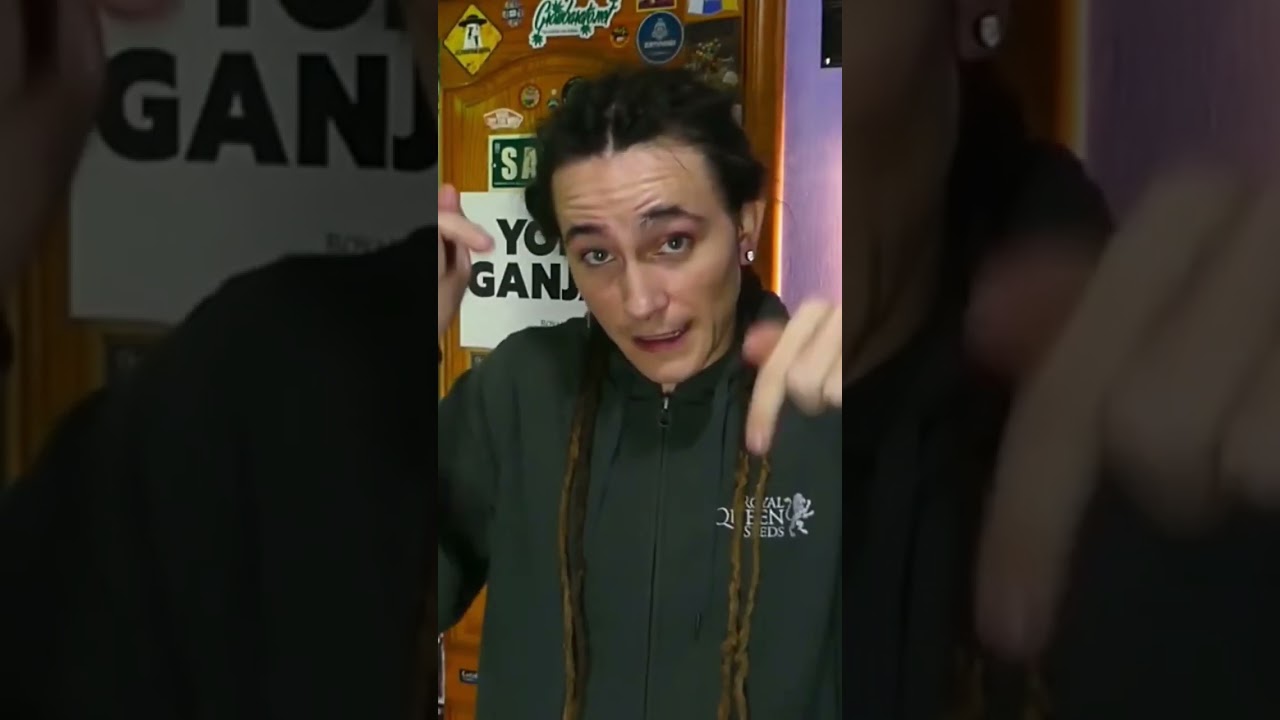 ZZ PUNCH SEGUIMIENTO INDOOR | 