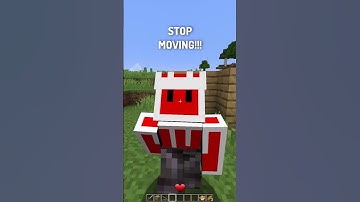 POV: You Meet the Tryhard in Minecraft