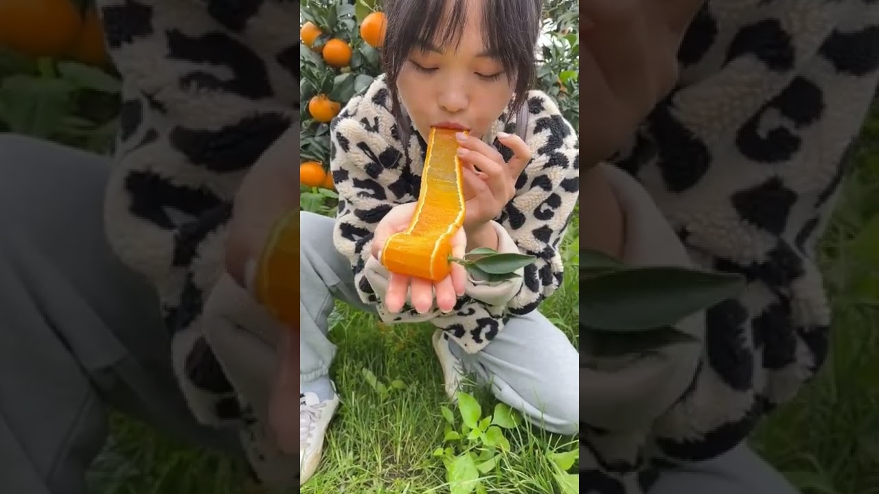 orang makan jeruk 🍊