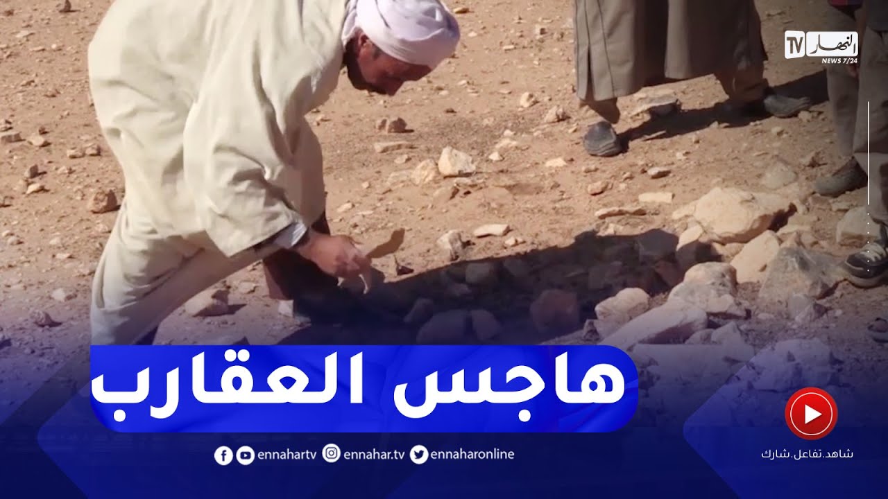 الجلفة : إنتشار العقارب و غياب الكهرباء يزيد من مخاوف سكان عين لعزايجي