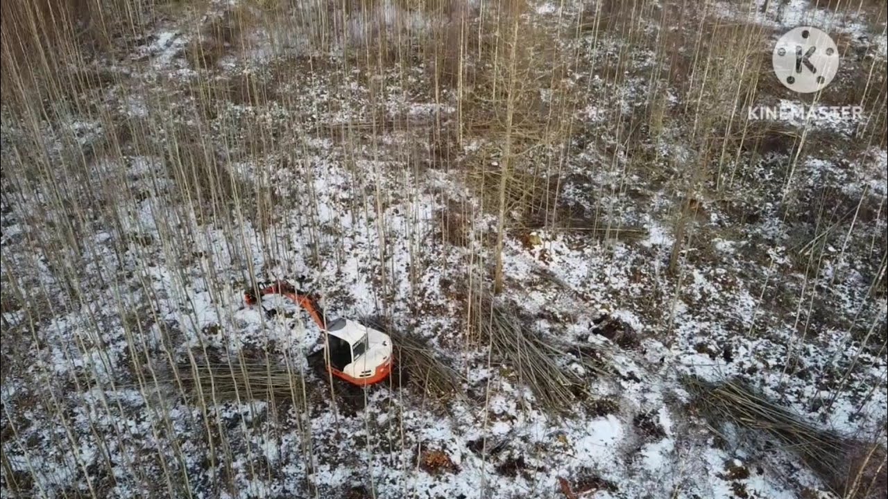 Чистка леса на экскаваторе Terex hr32 & KX 280