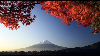 3 HOURS of the Best Traditional Japanese Music - Relaxing Music for Stress Relief and Healing screenshot 5