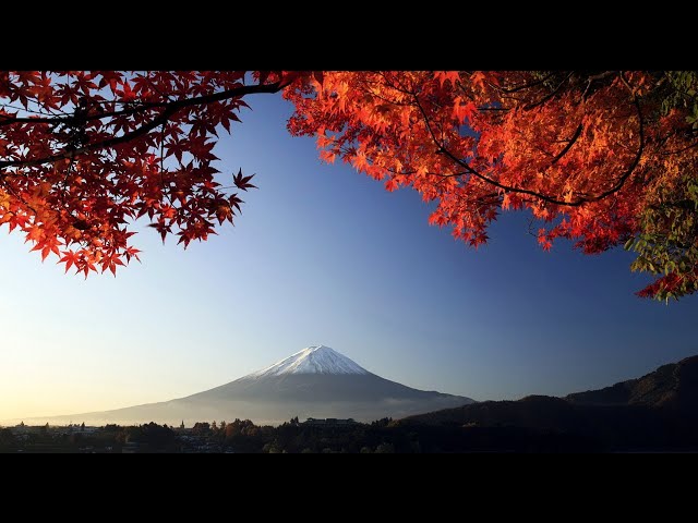 3 HOURS of the Best Traditional Japanese Music - Relaxing Music for Stress Relief and Healing class=