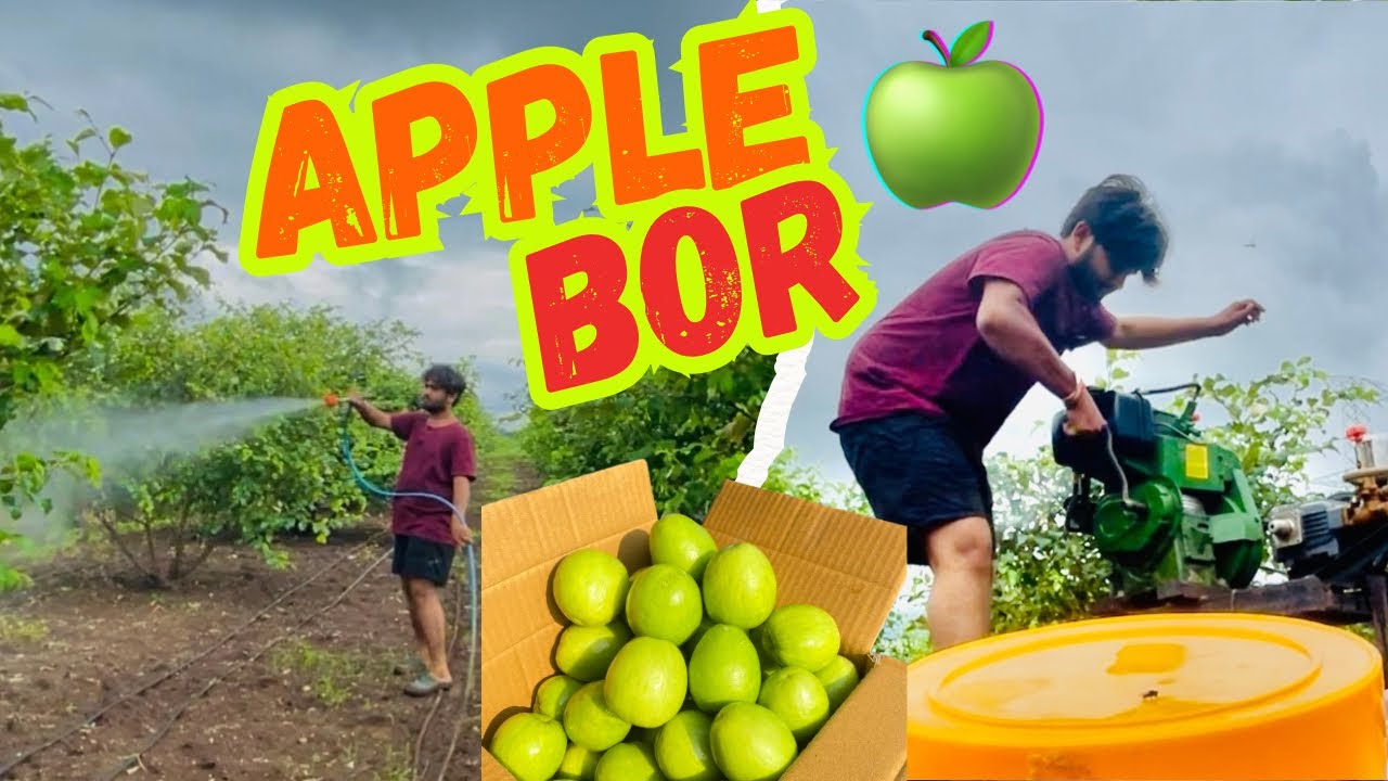 APPLE बोर 🍏| Diesel Engine kharab ho gya ? 😱 | BHOLU VLOG | 