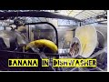 Inside a dishwasher - GoPro