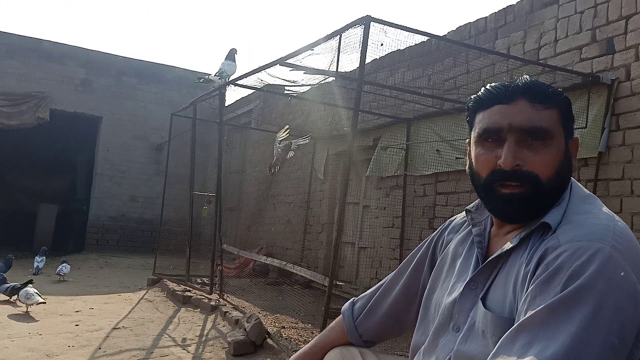 DEERY WALY KABOTAR SODA NAHE BANA