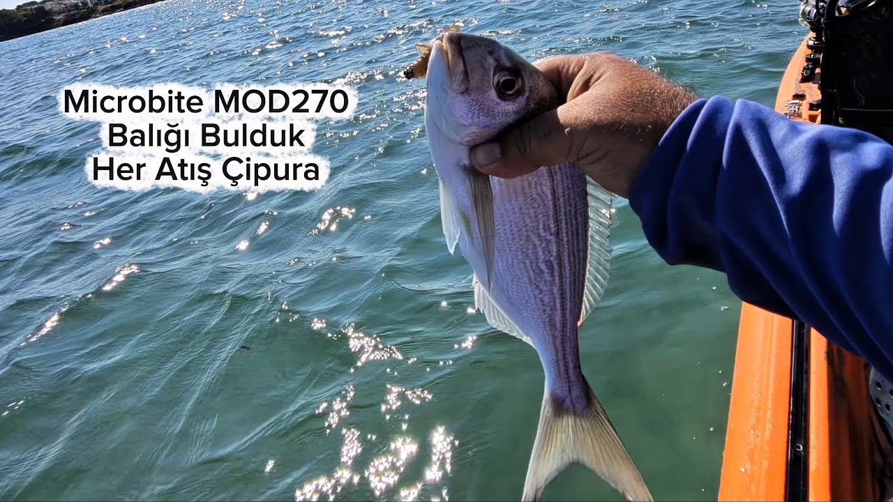 Balığı Bulduk. Her atış çipura. Microbite MOD 270 Tandem Kano. Every Cast a Sea Bream 🎣🔥