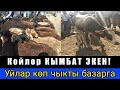 Өзгөн Мал базары// Койлар КЫМБАТ ЭКЕН// ЭНЕ БАЛА УЙЛАР КӨП ЧЫКТЫ БАЗАРГА!