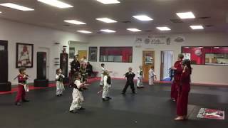 ATA Tiger Double Sahng Jeol Bahng weapon freestyle 1-11-2018