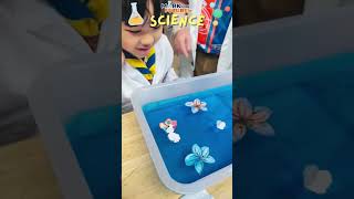Science Book: Exploring Materials