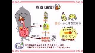 解剖生理学　19話「３大栄養素」