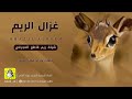 شيلة ريم قاطع العجرفي كلمات واداء فهاد العلي شيلة ريم قاطع العجرفي كلمات واداء فهاد العلي