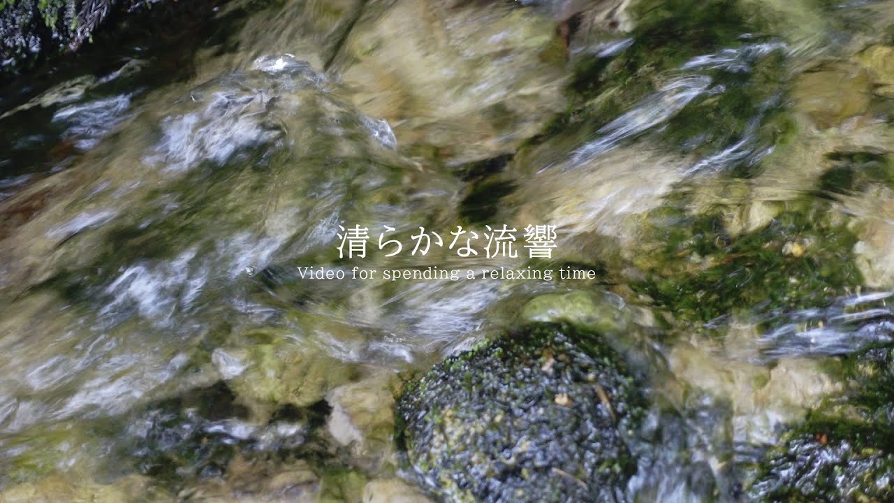 清らかな流響 水の音 | 3時間 water sound | ASMR | 睡眠 - YouTube