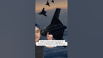 Máy bay chiến đấu tàng hình AI của quân đội Mỹ  #cuongnuocmy #maybay #quandoi #vietkieu #vietnamese