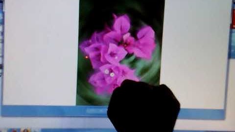 Windows 7 RC Multitouch on HP TouchSmart