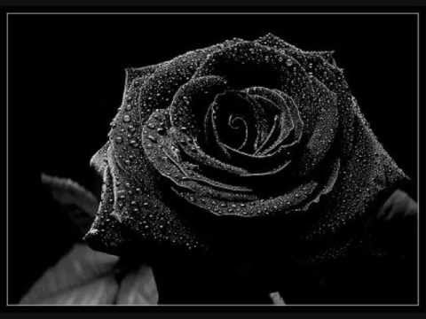 Blackmore S Night Ghost Of A Rose Subtitulada Espanol Youtube Become a fan remove fan. night ghost of a rose subtitulada