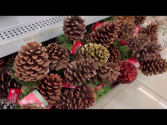 Ahora con CHICLE!! - Blog Navidad en Waldo’s 🎄*ASMR* | Gum Chewing | Christmas in the Store