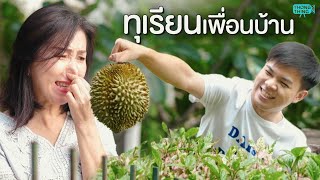 ทุเรียนเพื่อนบ้าน ไม่กินอย่าทิ้งขว้าง I หนังสั้น ตอง ติง ฟิล์ม