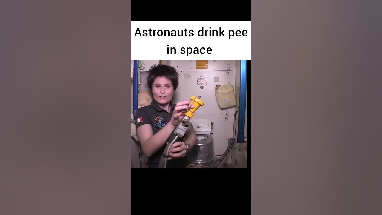 How do astronauts Pee in space Astronauts drink Pee in Space shorts