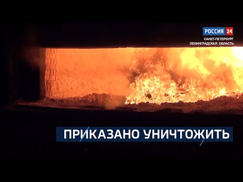 ВЕСТИ 24  Санкт-Петербург от 29.12.2023