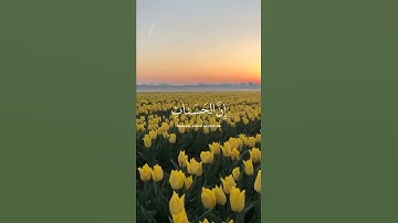 سورة هود الآية (114) القارئ إسلام صبحي #قرآن