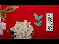 【 Vietsub 】Niramekko / 睨めっ娘 -  友成空 ( TOMONARI SORA )