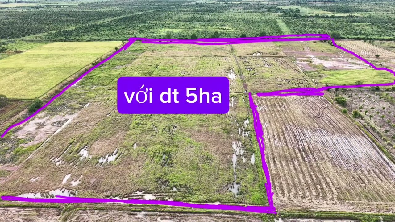 CẦN BÁN 5HA RUỘNG LÚA 2VU-PHÁP LÝ TRÍCH LỤC-230TRIEU/HA-EASUP-DAKLAK-LH 0528.35.7777