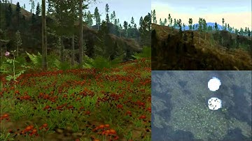 Forest Fire Simulation