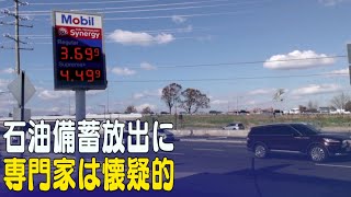 〈字幕版〉石油問題専門家 石油備蓄放出に懐疑的