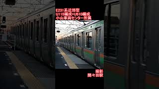 【JR東日本】E231系近郊型U115編成+U510編成　間々田駅発車