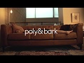 A long day short featuring the essex sofa from poly and bark