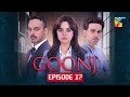Goonj Episode 17 CC 14 Nov 2025 Komal Meer Mirza Gohar Rasheed Feroz Kadri HUM TV 
