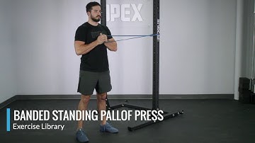 Banded Standing Pallof Press - OPEX Exercise Library