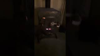 dragons breath heater installed, working well !!!@