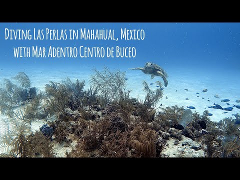 Scuba Diving Las Perlas in Mahahual, Mexico with Mar Adentro Centro de Buceo - 4K