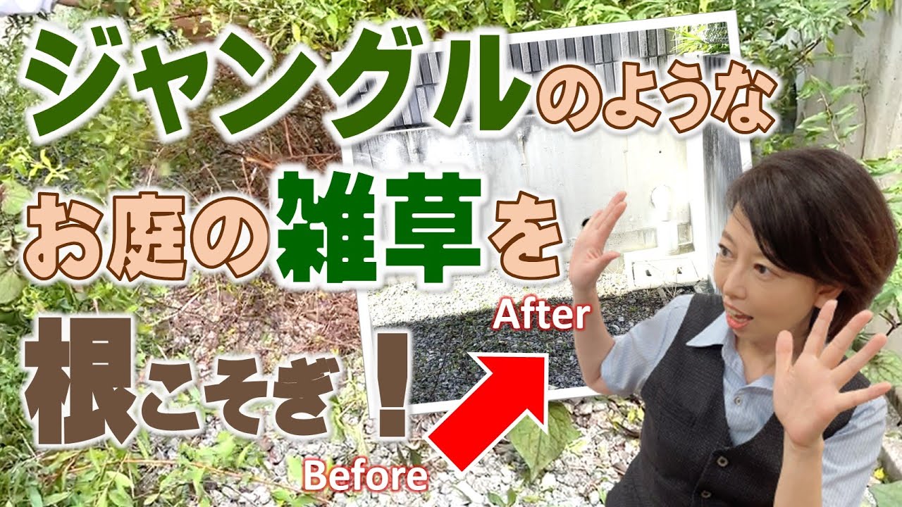 草抜き 放置したらこうなった 庭の巨大化した雑草の木の根っこを抜く Youtube 草抜き 放置したらこうなった 庭の巨大化した雑草の木の根っこを抜く Youtube