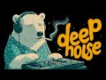 Chill Deep Vibes @ Polar Bear DJ | Funky House | Playful Mix