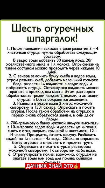 #советы #полезныесоветы #дача #огород #дачныесоветы - YouTube