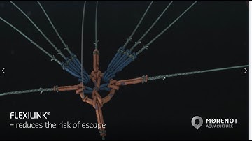 Flexilink® mooring grid for the fish farm