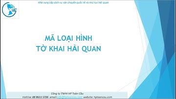 Mã Loại Hình Xuất Nhập Khẩu