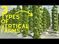 Vertical Farming 2022 | 3 Different  Types Of Vertical Farms