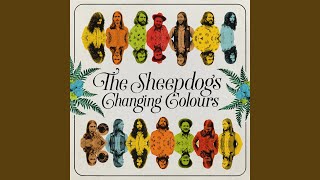 Video thumbnail of "The Sheepdogs - Cherries Jubilee"